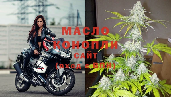 ПСИЛОЦИБИНОВЫЕ ГРИБЫ Горняк